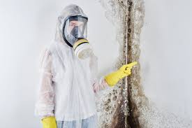 Best Water Damage & Mold Remediation  in Pleasant Hill, MS